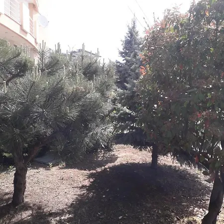 Hotel Holiday Eforie Nord