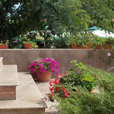 Holiday 3* Эфорие Норд