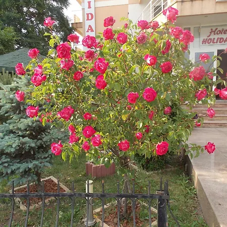 Ξενοδοχείο Holiday